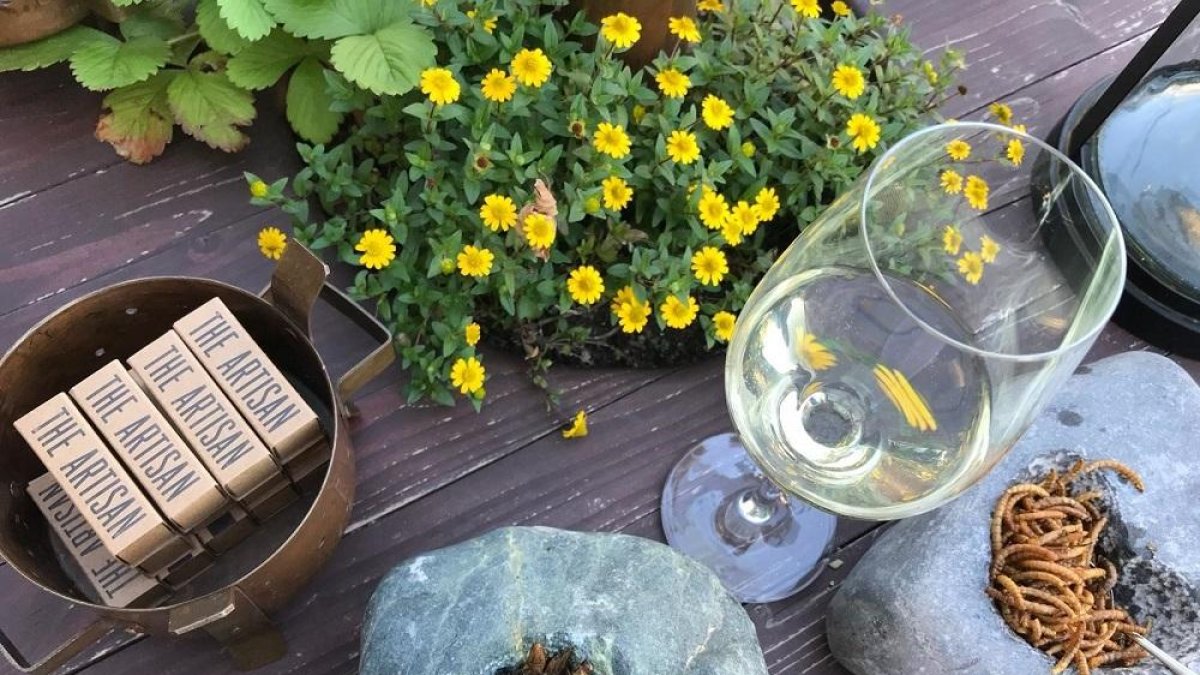 Insectors y un vino blanco de Rueda.-EUROPA PRESS