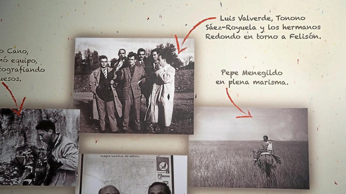 Imágenes de la exposición dedicada a Valverde en el PRAE.-J.M.LOSTAU