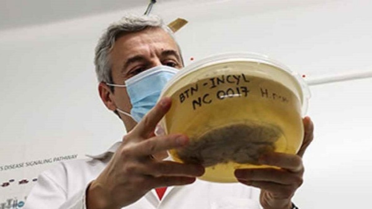 Javier Herrero, director del Banco de Tejidos Neurológicos ubicado en Salamanca. -FOTO CEDIDA POR EL INCYL