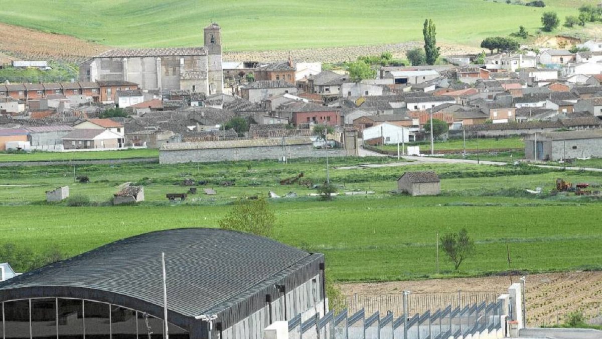 Bodegas y viñedos Pintia (Vega Sicilia), en la localidad de San Román de la Hornija (Valladolid)-Ical