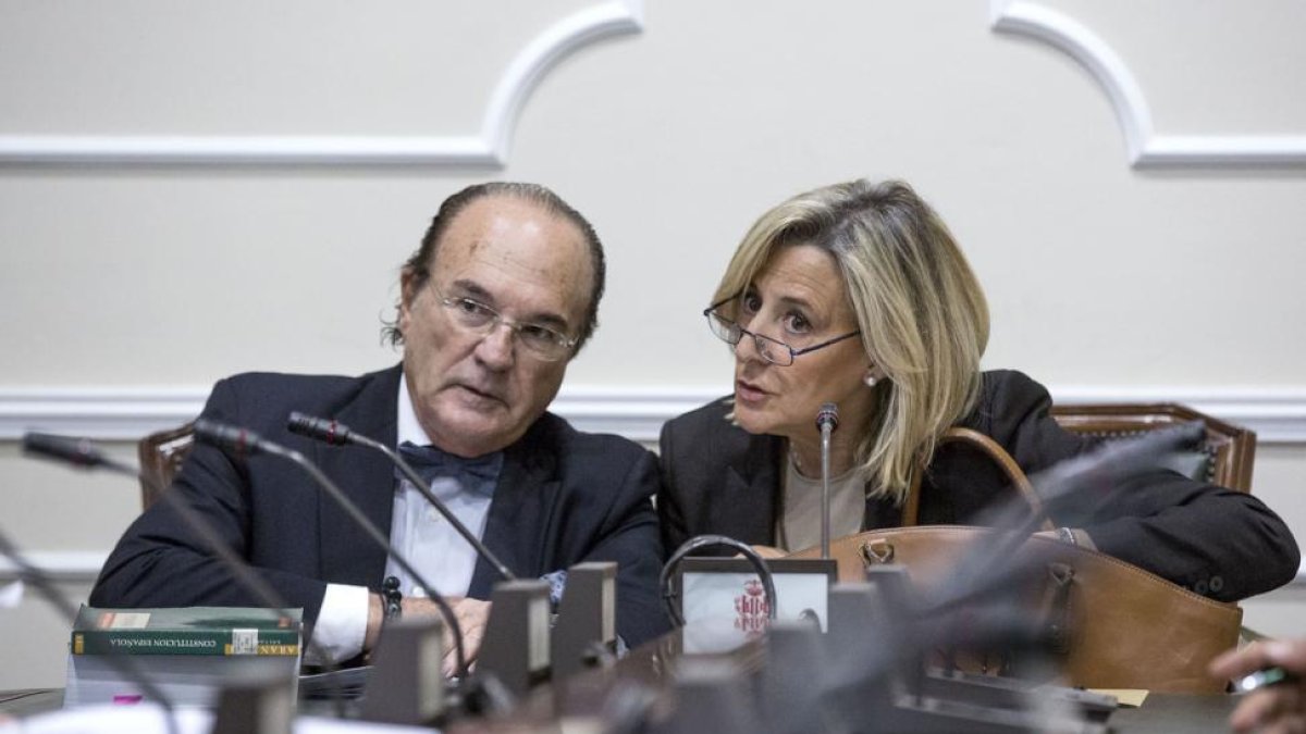 Asunción Barberá, en la comisión municipal de investigación sobre la gestión del PP en el Ayuntamiento de Valencia.-EFE / MANUEL BRUQUE