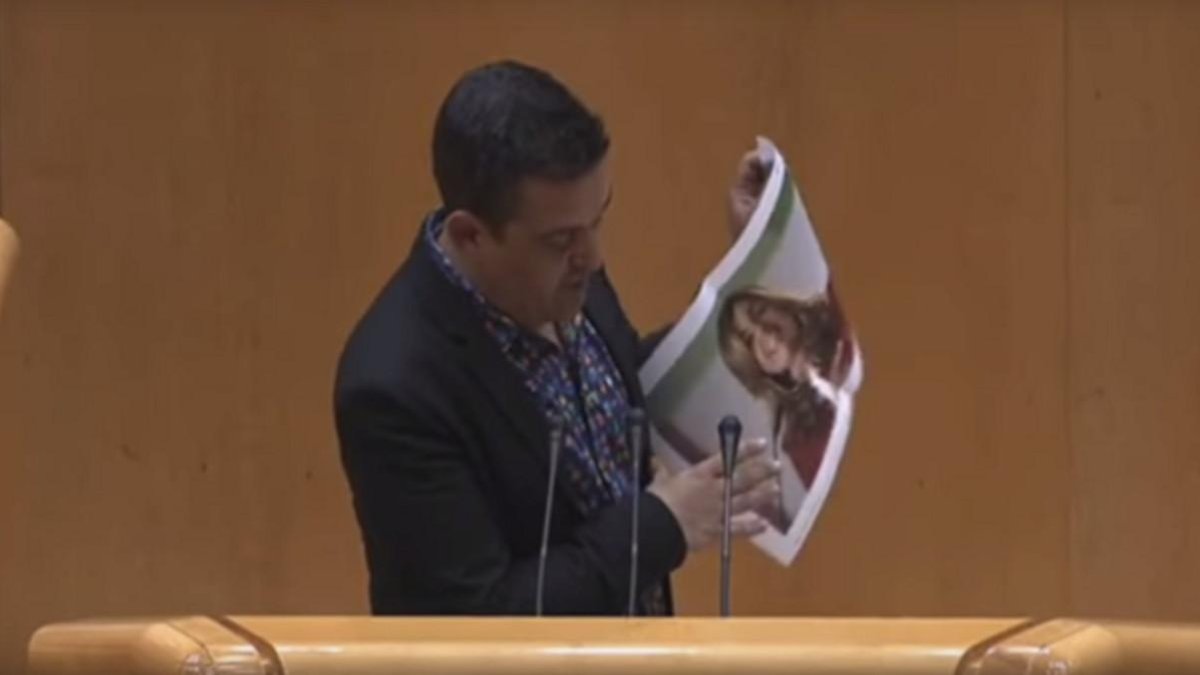 El senador de Compromís, Carles Mulet, durante su intervención en el Senado.-