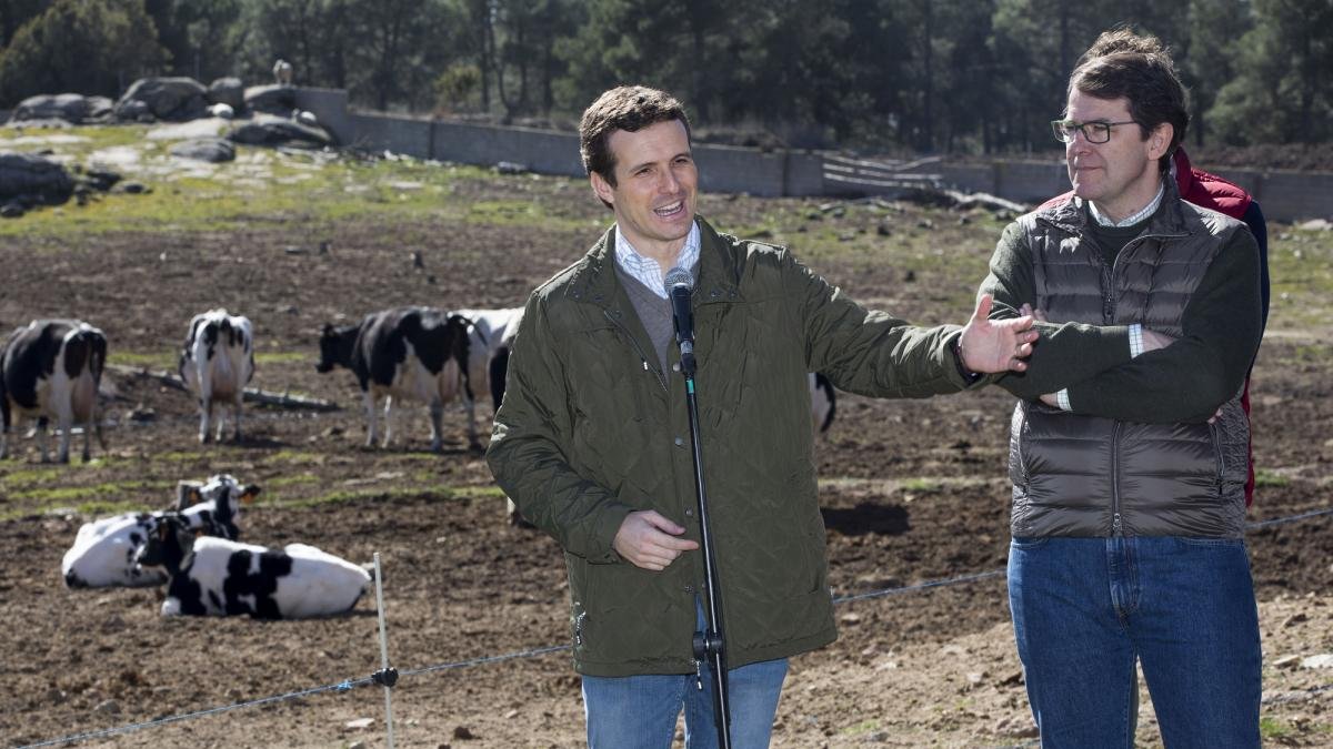 Pablo Casado, junto a Alfonso Fernández Mañueco, durante su visita a Ávila.-ICAL