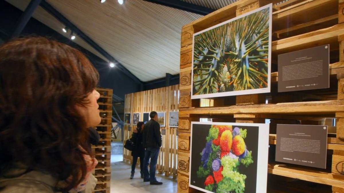 Exposición de fotografías ganadoras del décimo certamen nacional de fotografía científica 'Fotciencia' en el Ene.Museo Nacional de la Energía en Ponferrada (León)-Ical