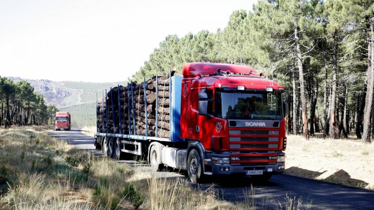 Camiones transportando madera quemada del incendio del pasado año de Castrocontrigo-Ical
