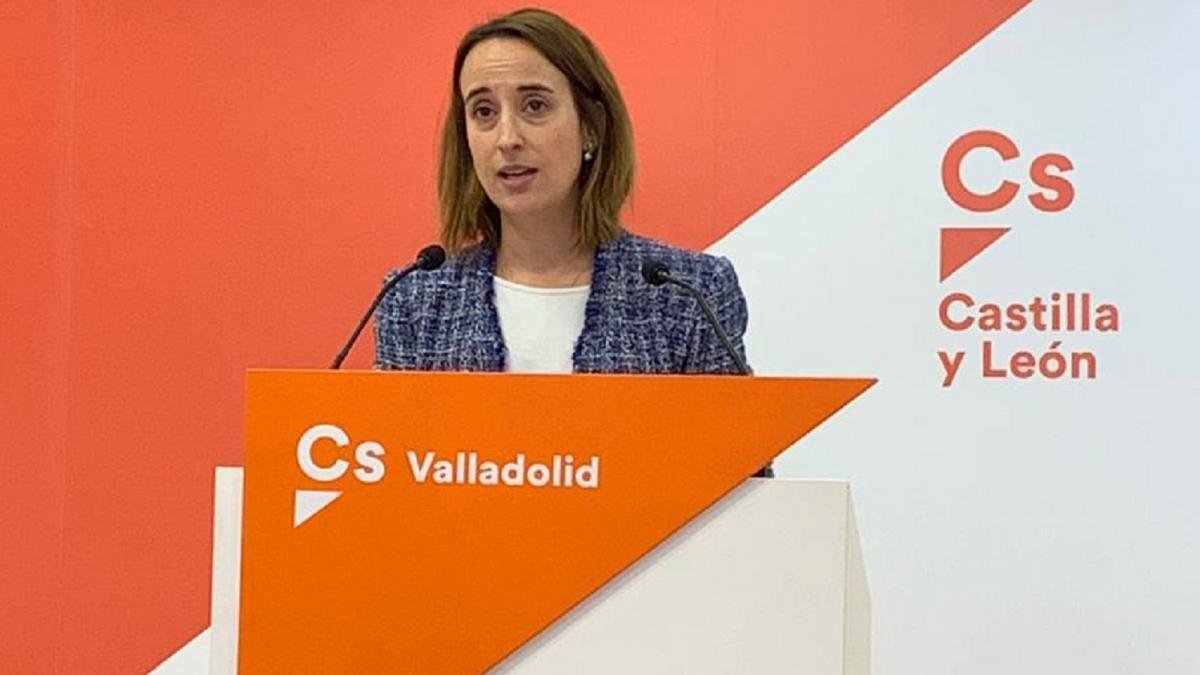 Pilar Vicente, en su comparecencia ante la prensa.-E. M.