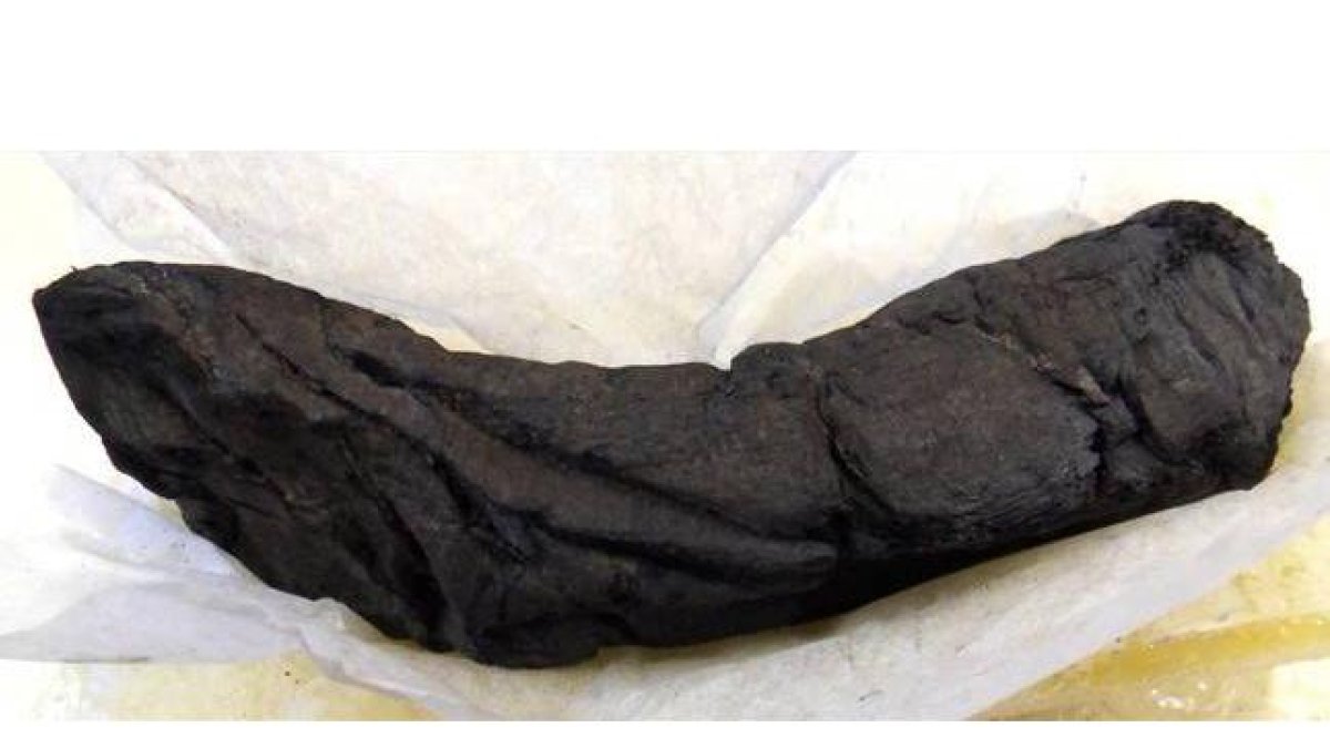 Manuscrito sepultado bajo la lava del Vesubio, en las ruinas de Herculano.-Foto: D. DELATTRE / BIBLIOTHÈQUE DE L'INSTITUT DE FRANCE