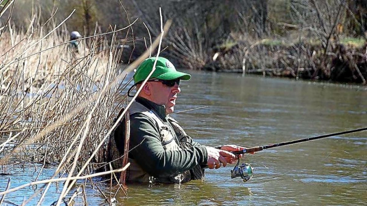 Un pescador soriano durante una jornada de truchas en aguas del río Duero.-L. FUENTE