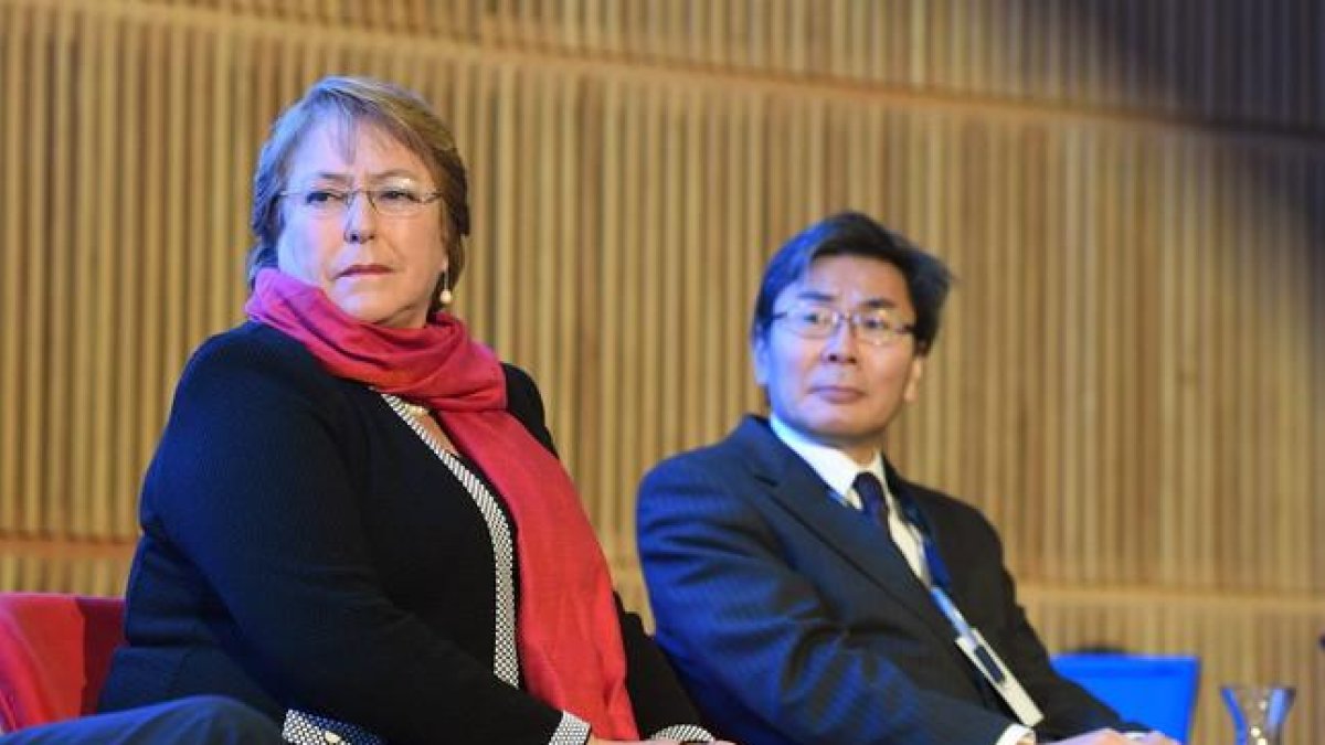 La presidenta de Chile, Michelle Bachelet, durante el lanzamiento del programa de formación de recursos humanos para Latinoamérica y el Caribe.-EFE / XIMENA NAVARRO