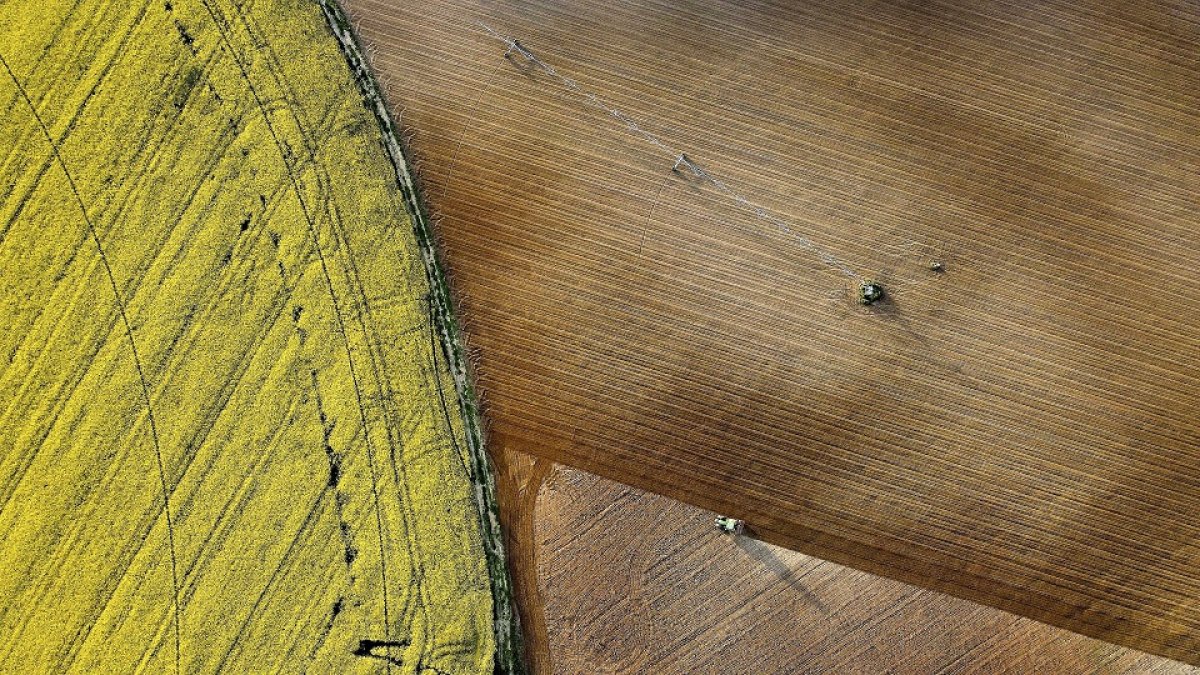 Vista aérea de distintas parcelas agrícolas donde ara un tractor en las proximidades de un pívot de riego, sobre un campo de cultivo de colza de la provincia de Salamanca. / ENRIQUE CARRASCAL