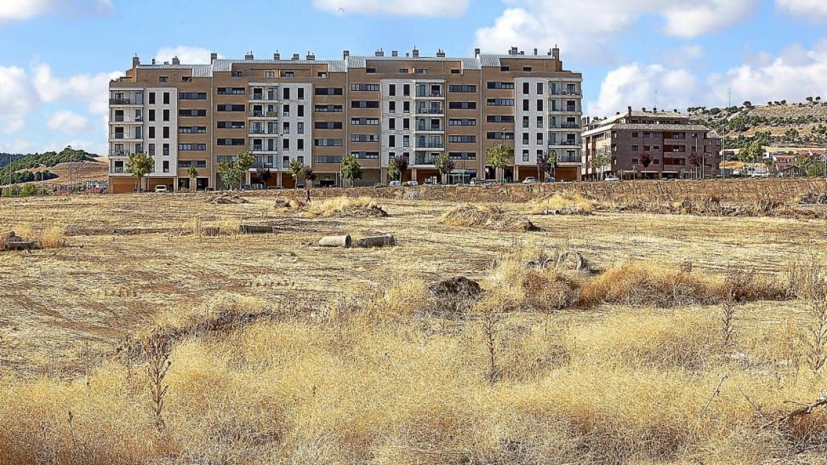 Parcela donde el Ayuntamiento de Arroyo plantea construir el parque de bomberos.-PABLO REQUEJO