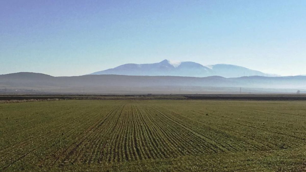 Vista de la impresionante cumbre del Moncayo desde tierras sorianas.-N. S.