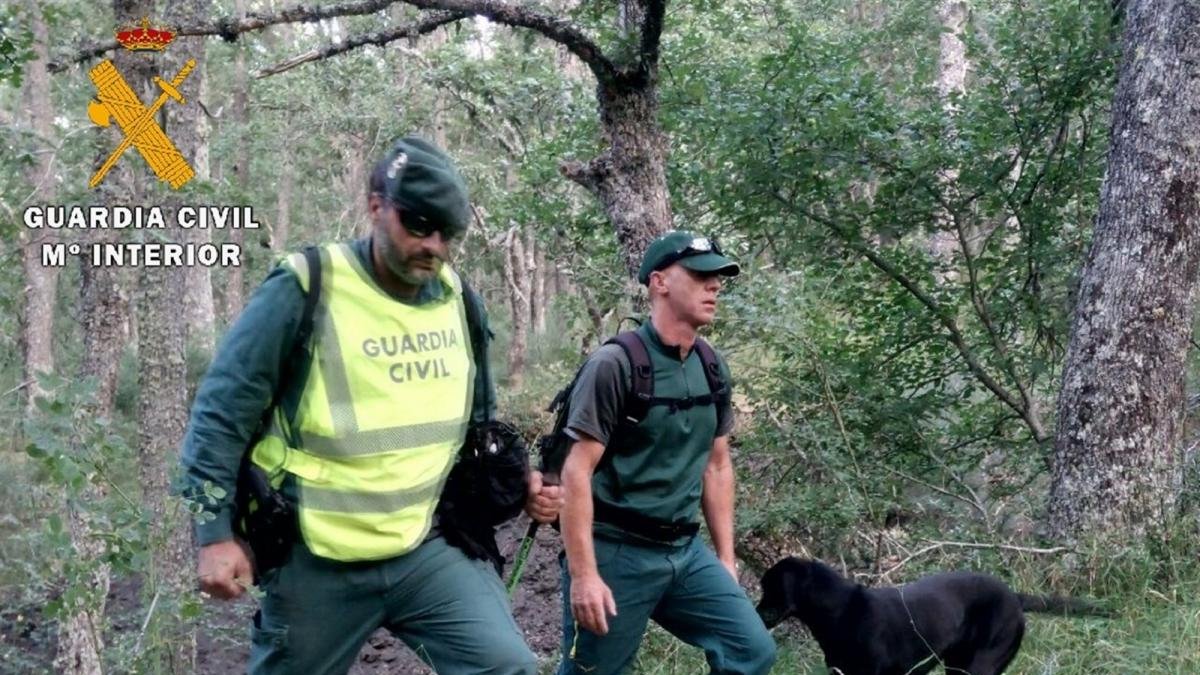 Servicios de la Guardia Civil rastreando el terreno.-GUARDIA CIVIL