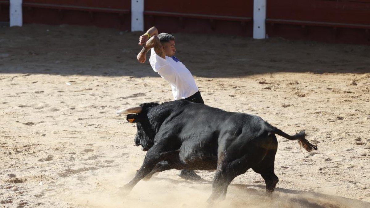 Encierros de Peñafiel.- PHOTOGENIC