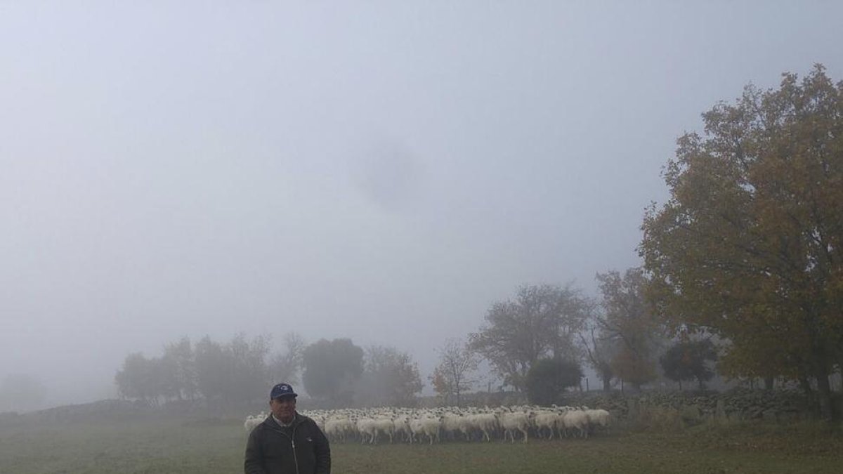 Eduardo Herrero es ganadero de ovino natural de Fresnadillo de Sayago, zona afectada al sur del Duero.-E.M.
