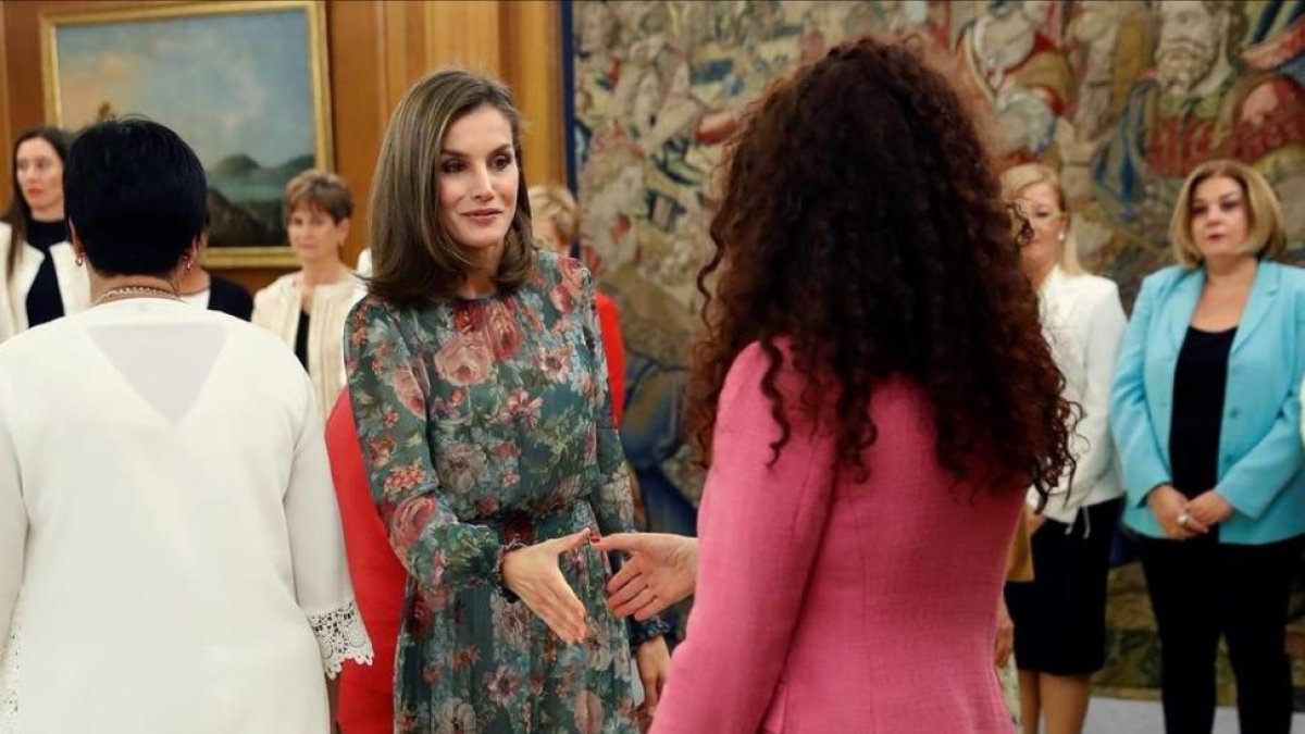 La reina Letizia recibe en audiencia a una representacion de la Alianza Iberoamericana de Enfermedades Raras, este martes en el Palacio de la Zarzuela.-EL PERIODICO (EFE / CHEMA MOYA)