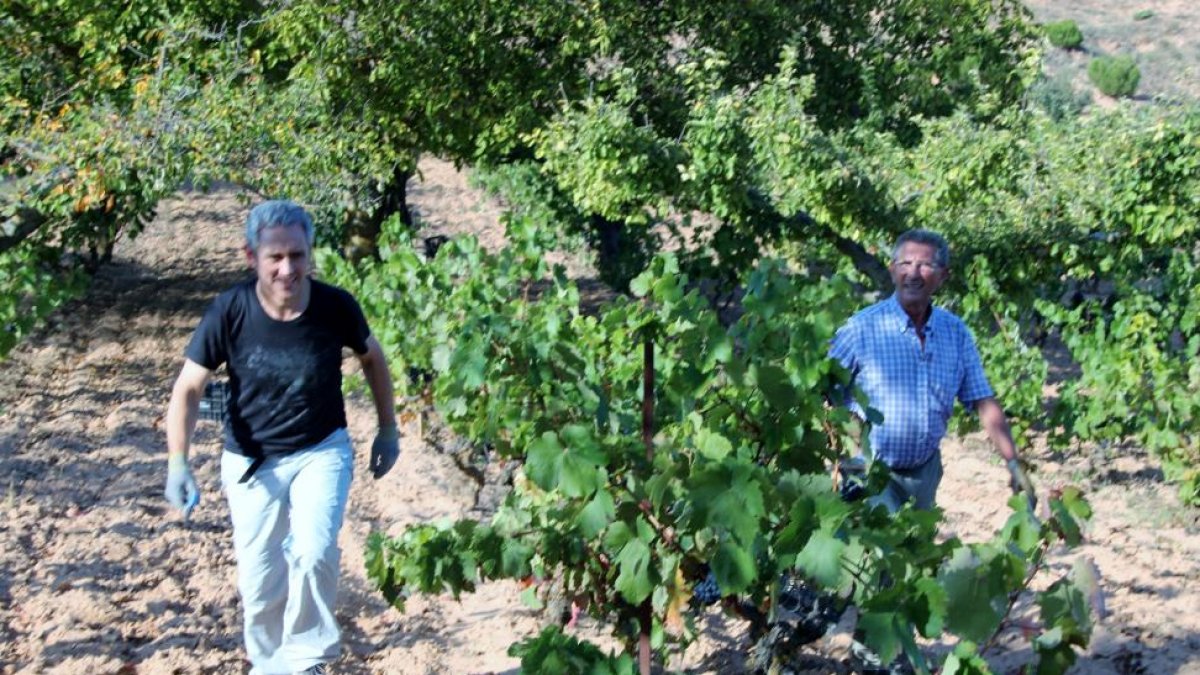 os trabajadores entre las viñas de chacolí en el término municipal de Miranda de Ebro (Burgos).-L.P.