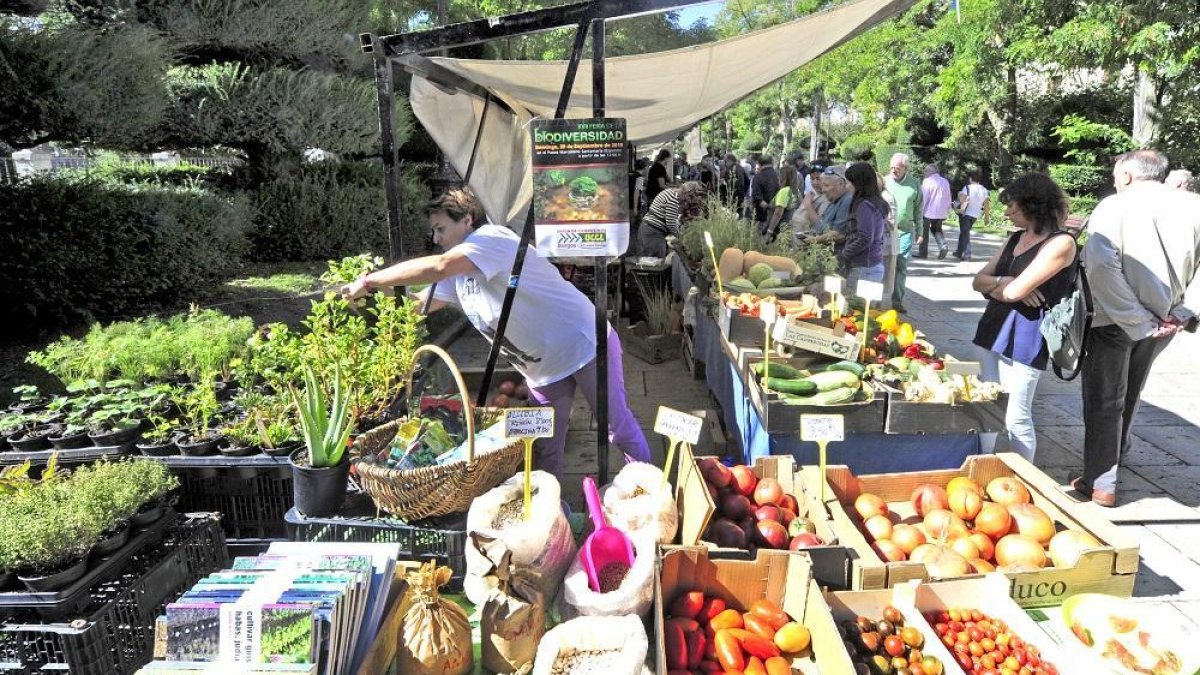 Este año UCCL ha celebrado la XVII edición de la Feria de la Biodiversidad, que se sitúo en el Paseo Marcelino Santamaría de Burgos.