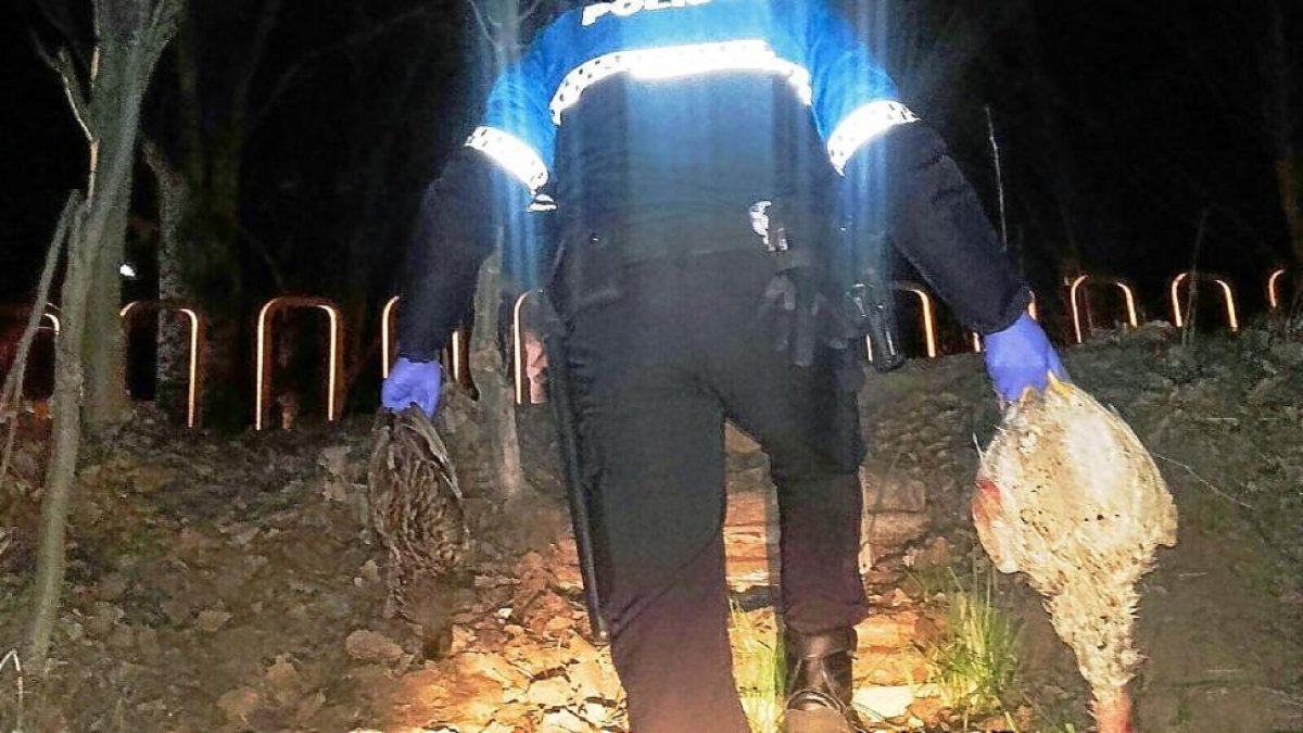 Un agente retira el ánade real y el pato abatidos con carabina de balines.-E. M.