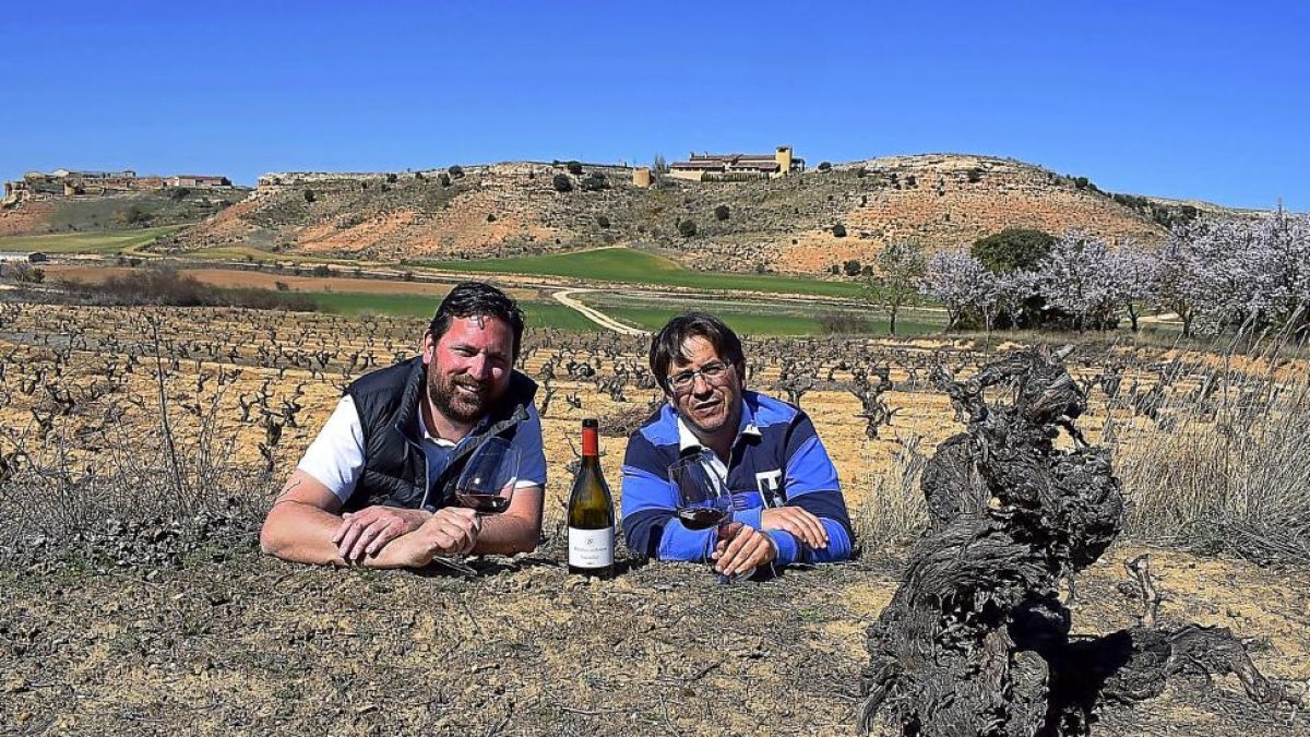 De izquierda a derecha, Jaime e Ismael, junto a la cepa centenaria y, de fondo, la bodega Dominio de Atauta, situada en una ladera, entre los dos célebres palomares.-ARGICOMUNICACIÓN
