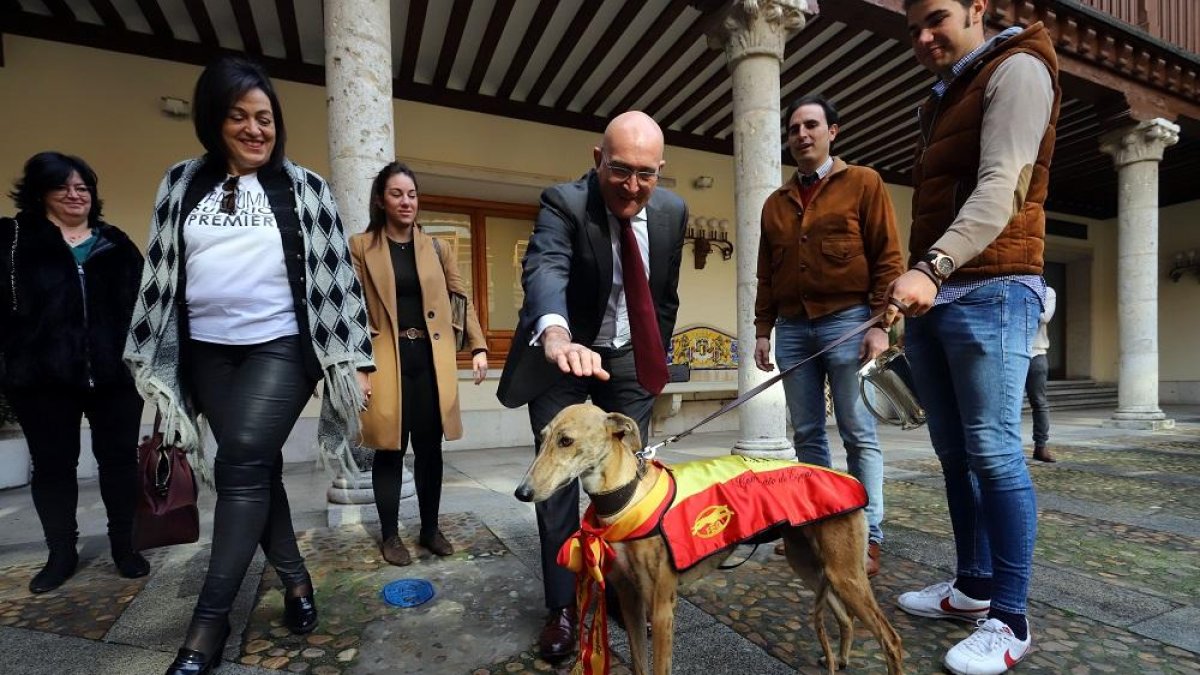 Jesús Julio Carnero acaricia a Pelaya de Safesa durante la recepción en la Diputación de Valladolid.-ICAL