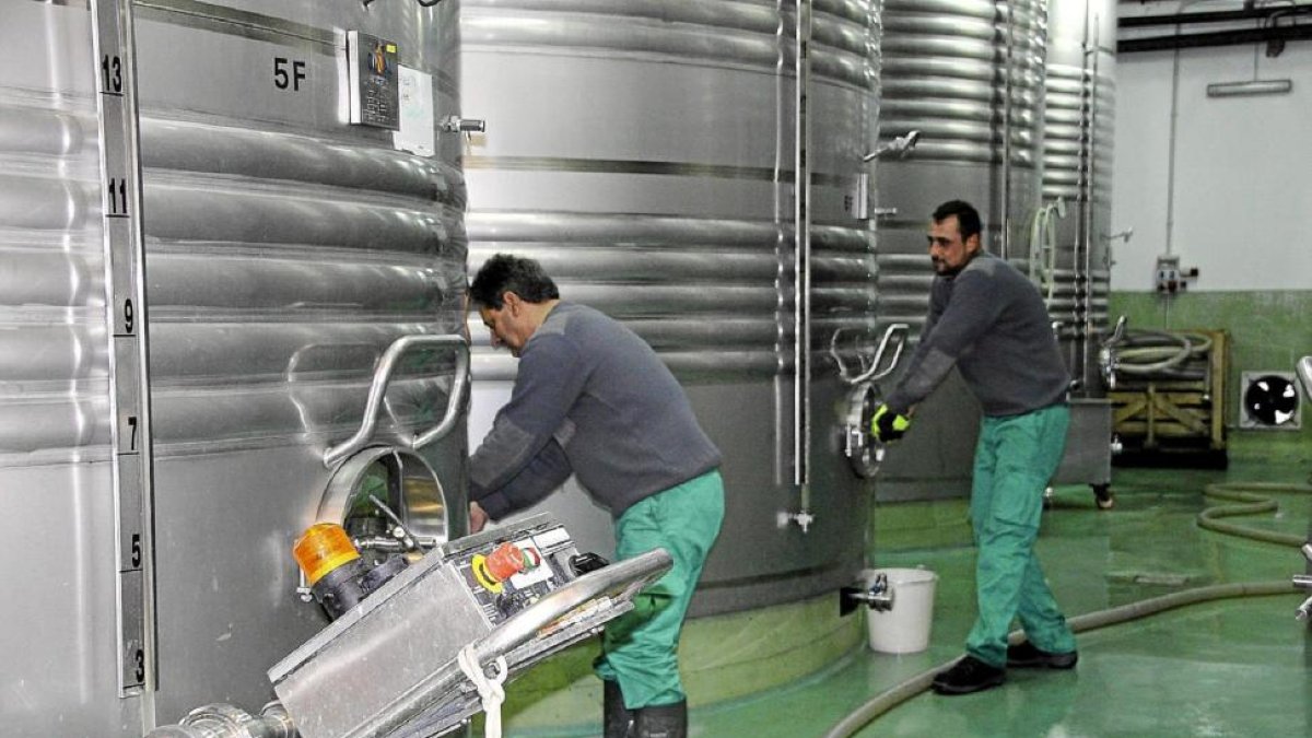 Un trabajador se dispone a abrir un depósito en una bodega de Serrada.-M.T.