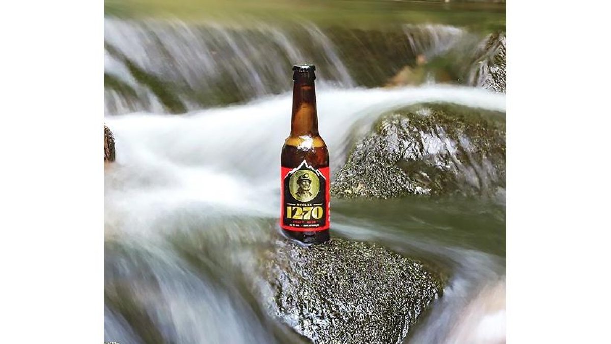 CERVEZA2