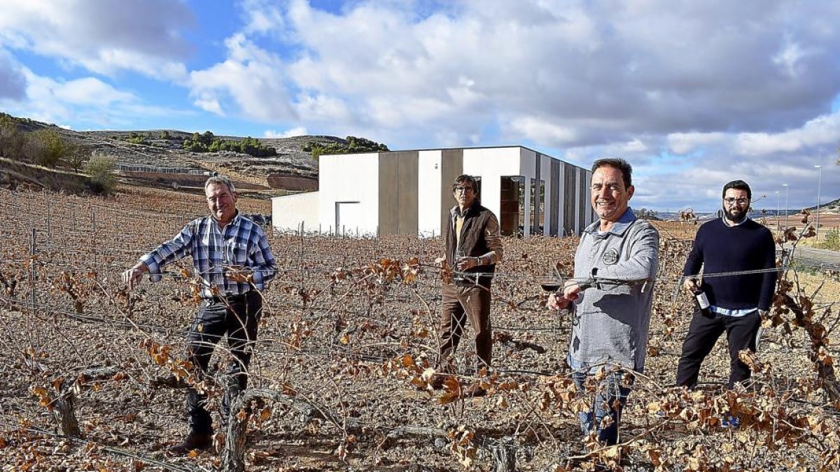 De izda. a dcha.: Jesús Ángel Martín (responsable de campo); Avelino Gozalo (socio); José Miguel Vaquero (gerente); y Fernando Valenti (asistente de enología), en el viñedo que está junto a la bodega (al fondo).-ARGICOMUNICACIÓN