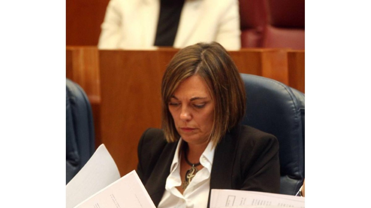 La consejera de Familia, Milagros Marcos en el Pleno de las Cortes de Castilla y León-Ical