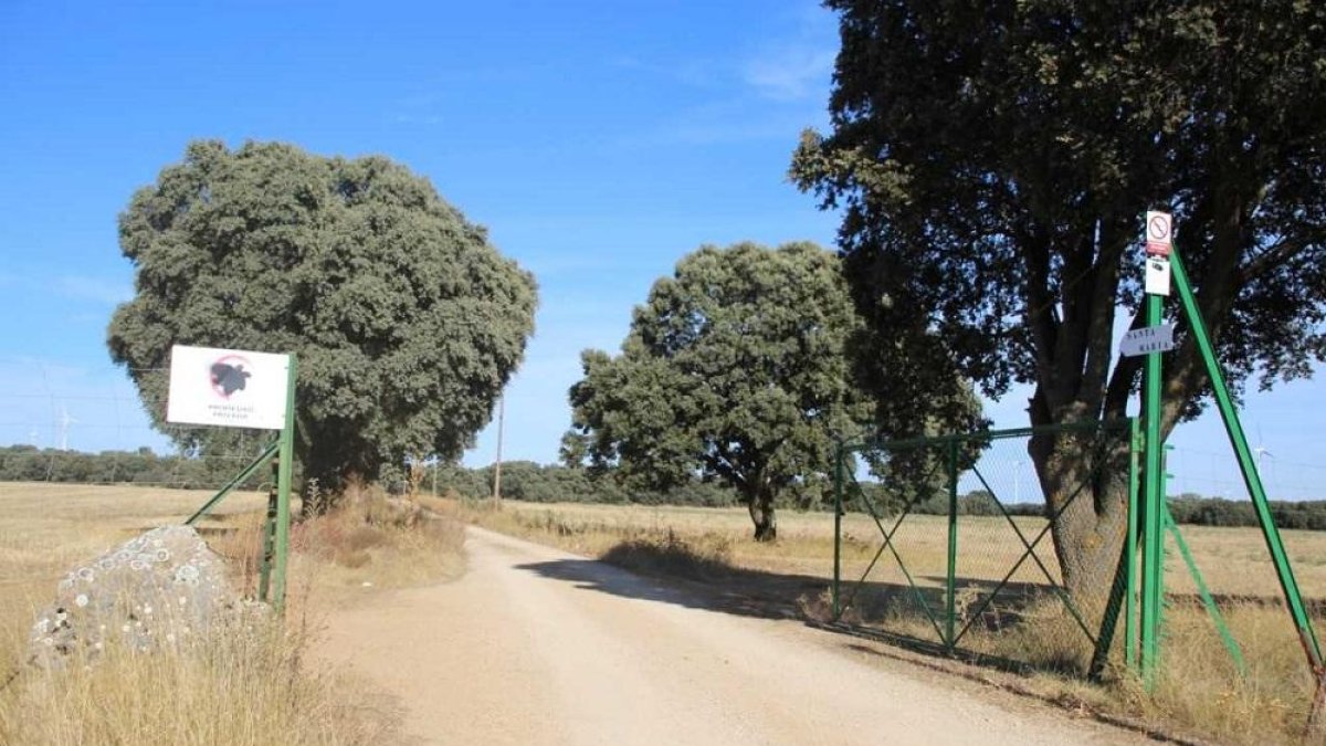 Entrada al Monte de El Común, en Villalba de los Alcores, donde murió un joven de 13 años en octubre.-LEONARDO DE LA FUENTE