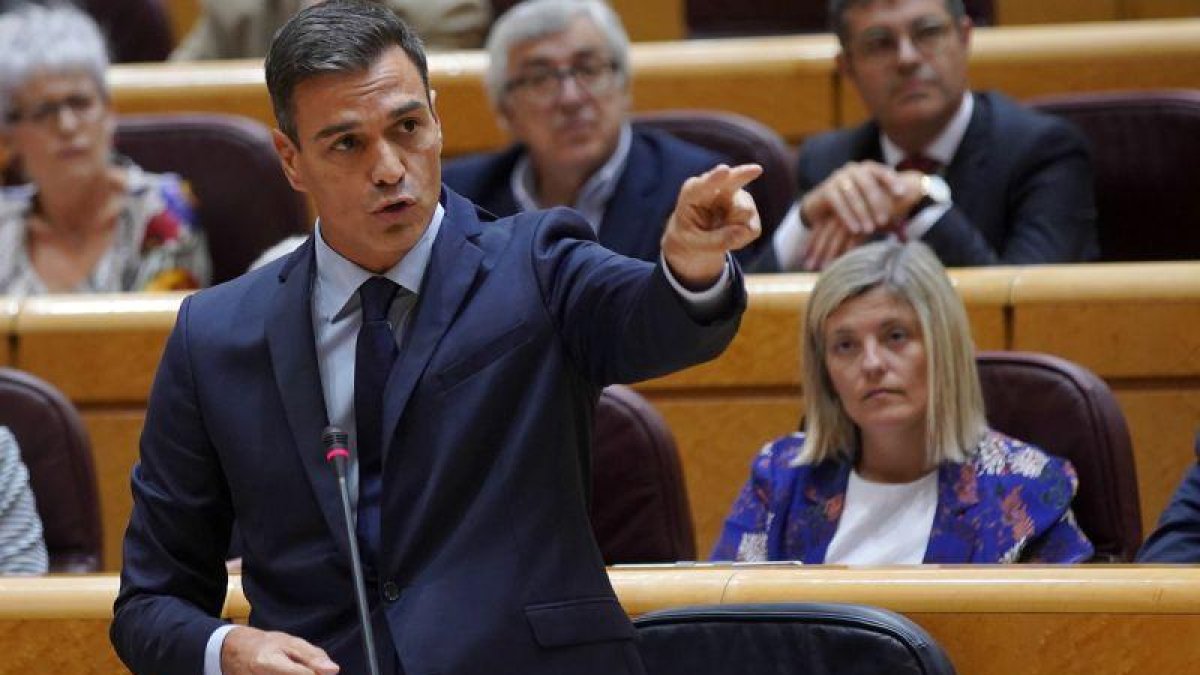 Pedro Sánchez, durante un pleno del Senado.-JOSE LUIS ROCA