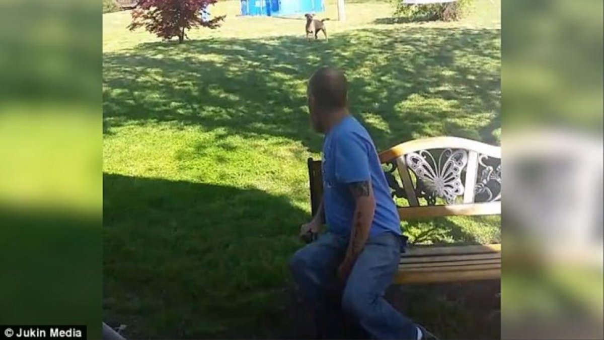 Momento de la llegada del perro al jardín donde le esperaba su dueño.-