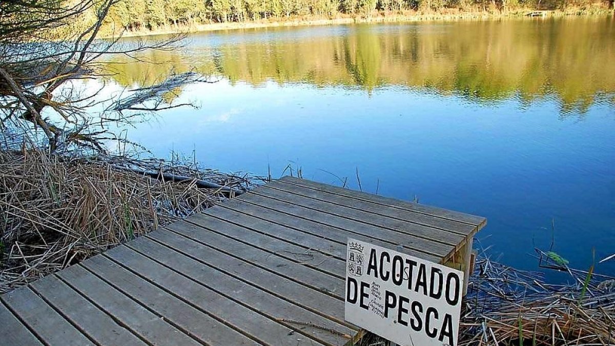 Una de las plataformas de pesca del coto de Tencas de la Santa Espina (Valladolid).-L. FUENTE
