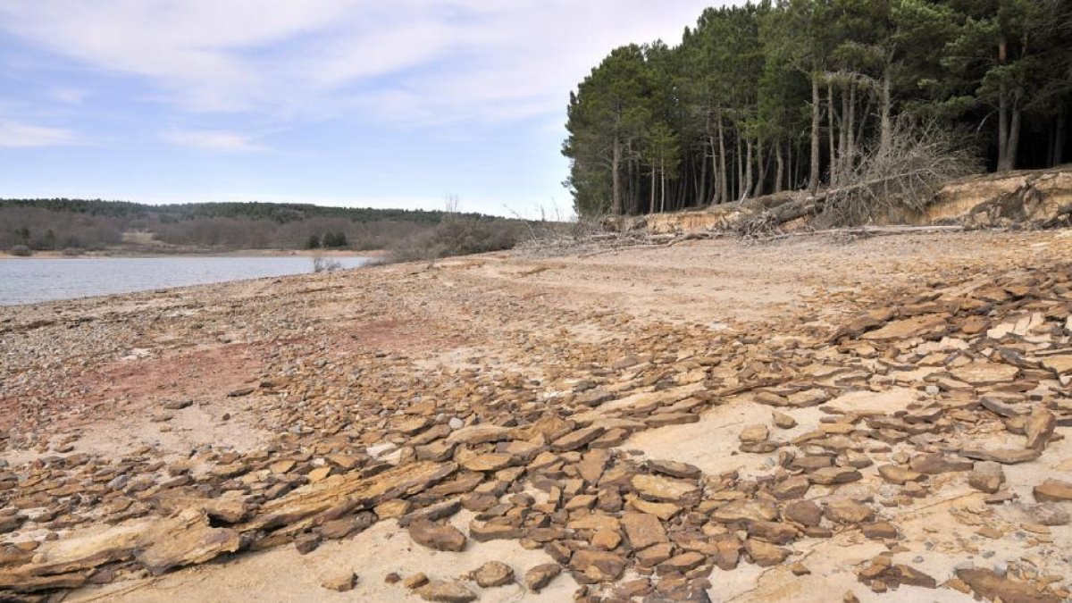 El embalse soriano de la Cuerda del Pozo muestra los efectos de la sequía. Su nivel está 18 puntos por debajo de la media de la década.-VALENTÍN GUISANDE