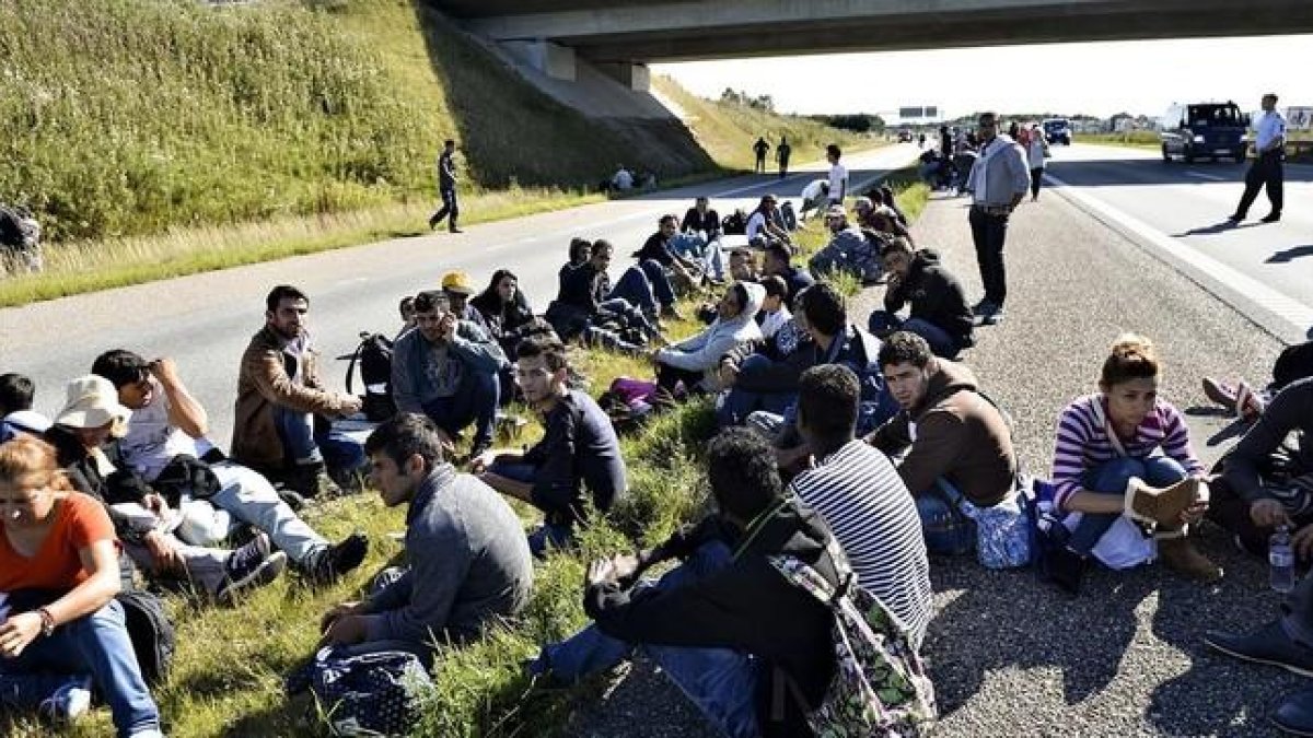 Un grupo de refugiados descansan en medio de una autopista en el sur de Dinamarca.-AP / ERNST VAN NORDE