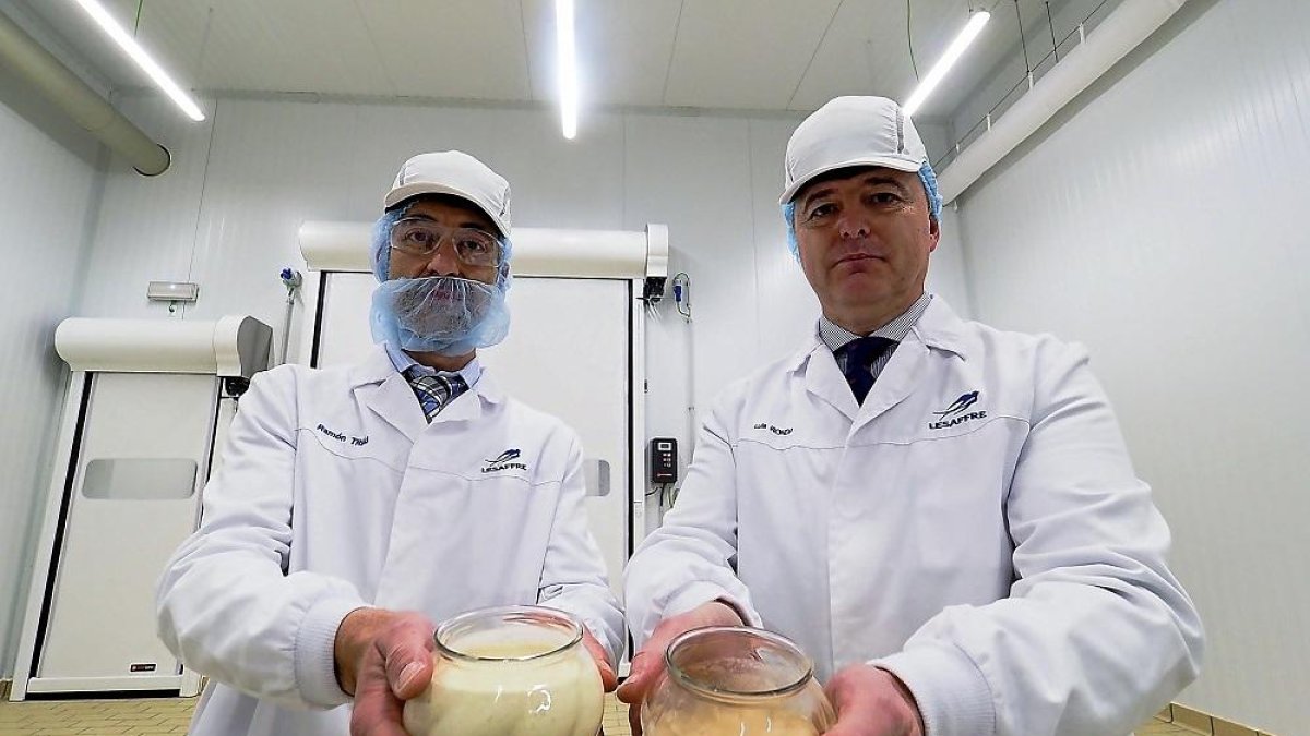 Ramón Trías, director comercial de Lesaffre Ibérica y Luis Ronda, director general.-PHOTOGENIC / MIGUEL ÁNGEL SANTOS