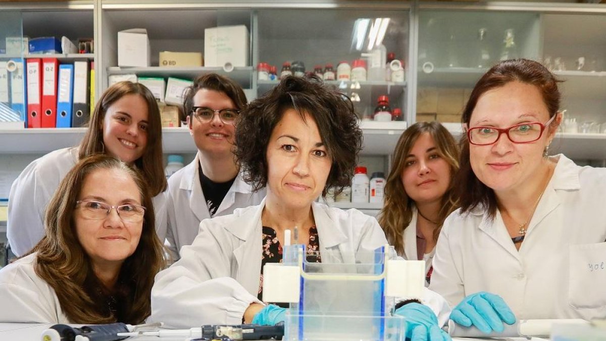 Investigadores participantes en el proyecto en las instalaciones del Instituto de Biología y Genética Molecular de Valladolid.-J. M. LOSTAU