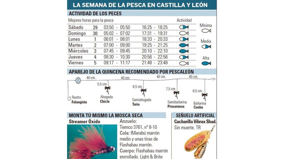 -EL MUNDO DE CASTILLA Y LEÓN