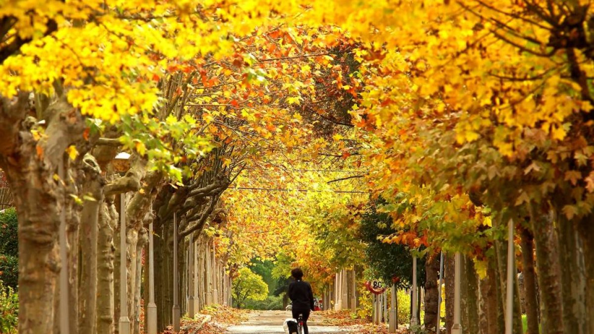 Otoño en el Bierzo.-ICAL