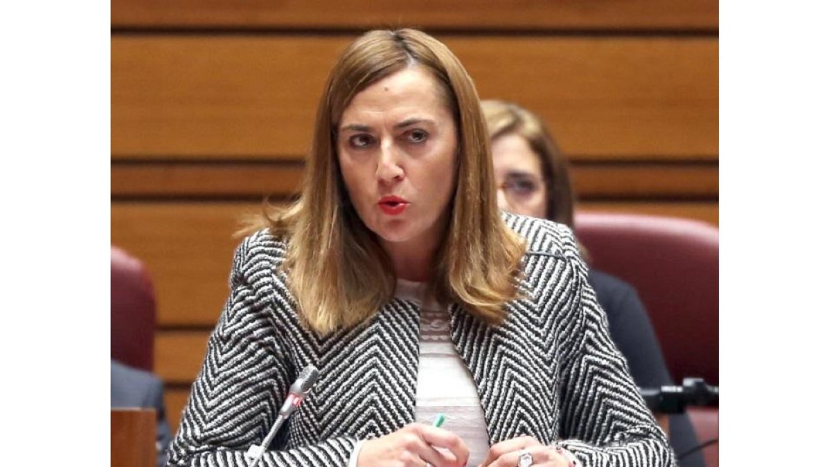 Virginia Barcones.-ICAL