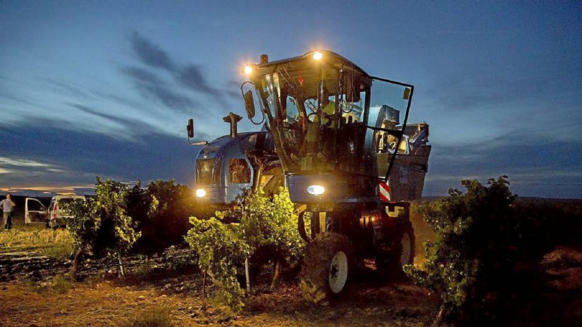 Una máquina vendimiadora recoge uva el primer día de la cosecha 2015 en Rueda.-Photogenic