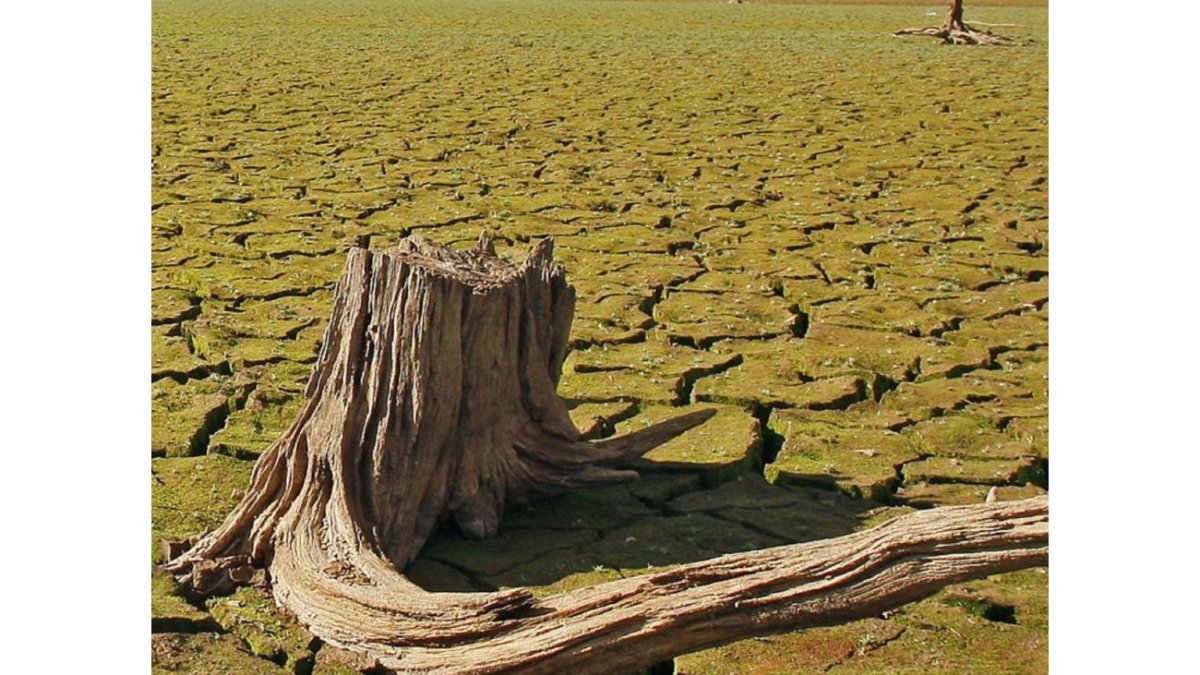 Imagen del pantano de la Cuerda del Pozo en Soria en noviembre.-MARIO TEJEDOR