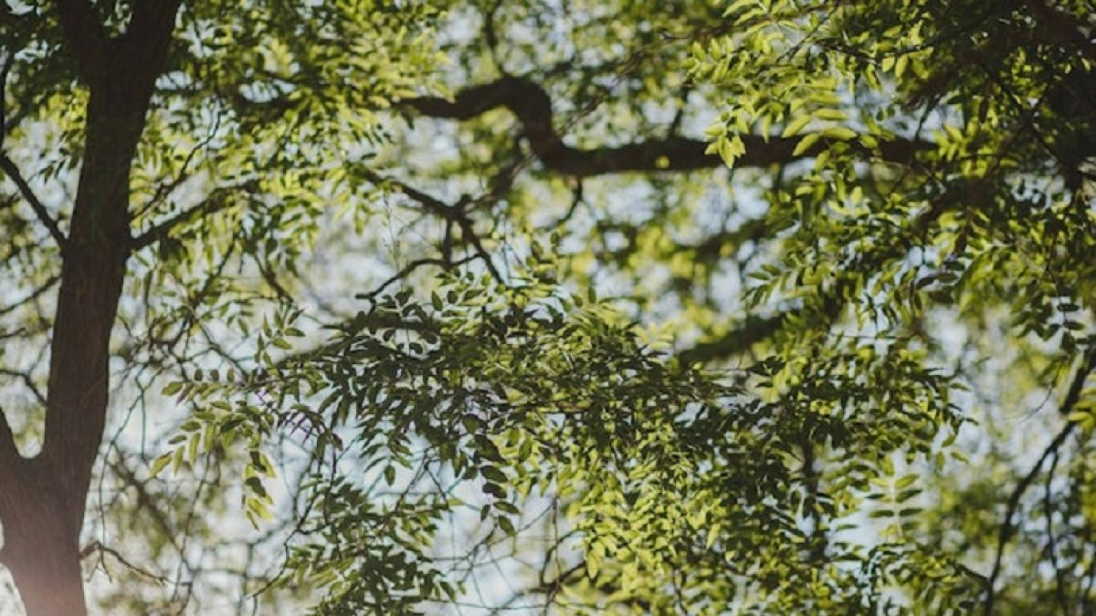 phpeJiFPO63f874ad9ae26