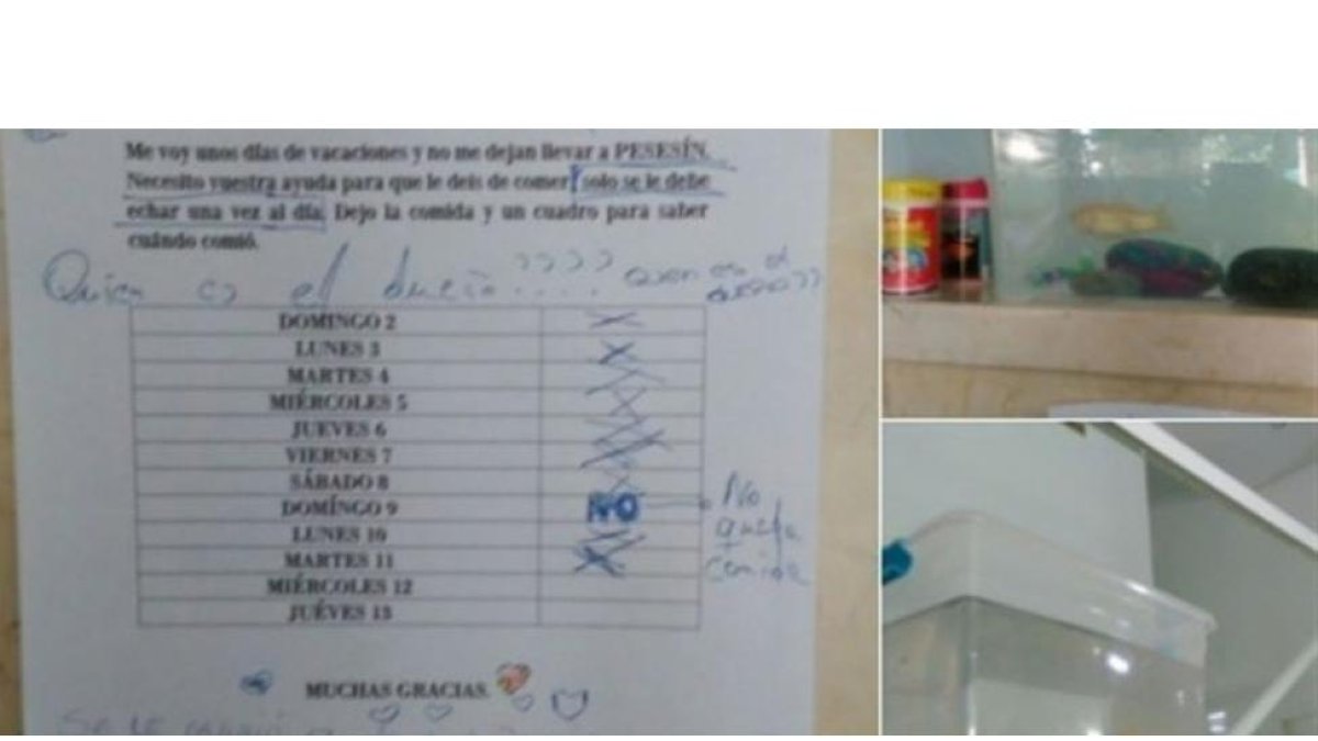 La nota que dejó la dueña de Pesesín y la pecera.-TWITTER
