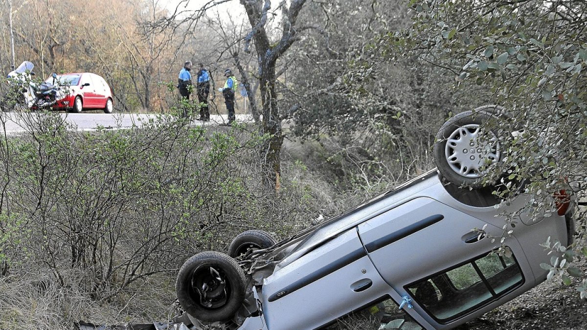Accidente causado por un jabalí en Palencia. E.M.