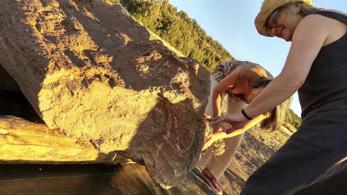 Imagen de los restos fosilizados de los troncos de árboles aparecidos en Arevalillo de Cega, que a decir del Instituto Geológico y Minero son uno de los conjuntos más importantes del cretácico superior.-TERESA SANZ