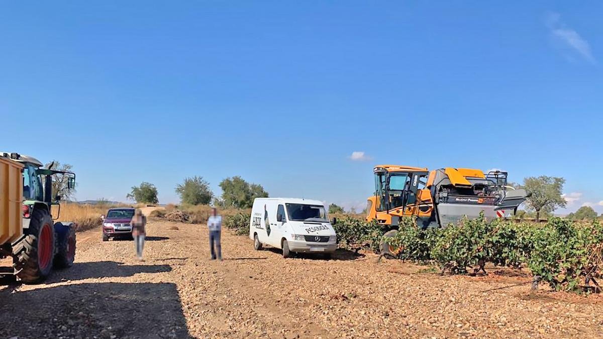 Momento en que las dos partes enfrentadas se presentaron en los viñedos para recoger la última añada, en octubre del año pasado.-E. M.