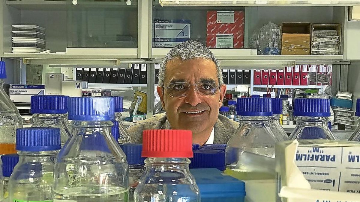 El científico Xosé R. Bustelo en las instalaciones del Centro del Cáncer de Salamanca.-EL MUNDO