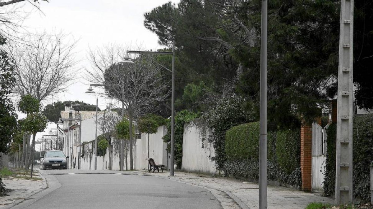 Calle Colonia de la urbanización residencial del Pinar de Antequera-El Mundo
