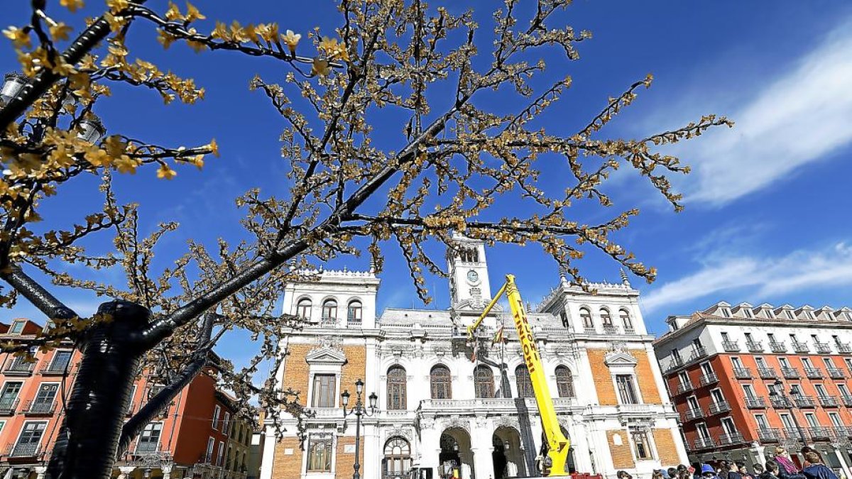 Labores de trabajo en la instalación navideña frente al Ayuntamiento de Valladolid.-J.M. LOSTAU